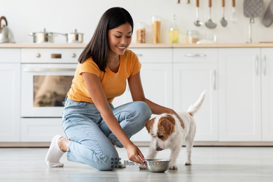 Understanding Dog Food Feeding Trials: What Every Dog Owner Should Know