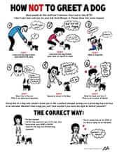 How Not To Greet a Dog