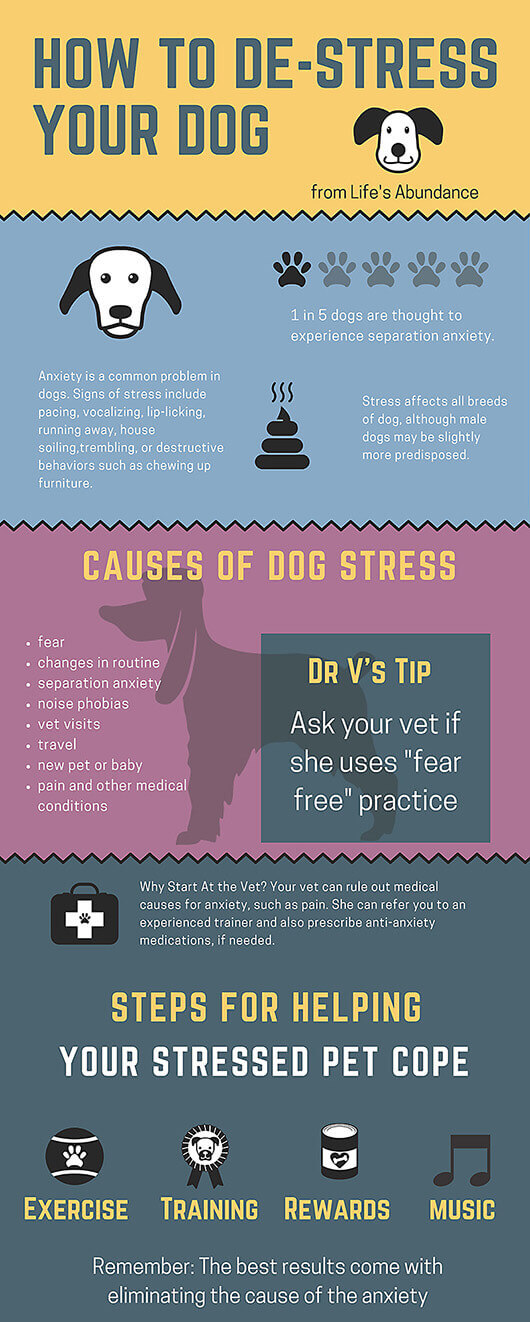 How-to-Avoid-Dog-Stress