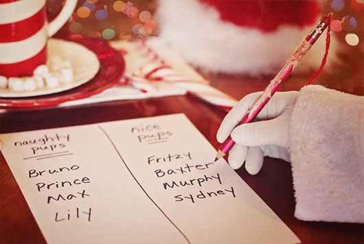 Naughty-Nice