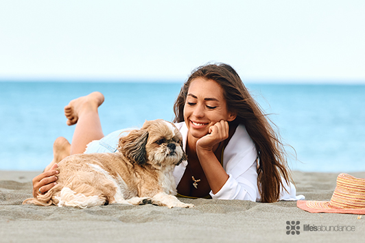 Dog Beach Day: Your Guide to a Safe, Fun Outing