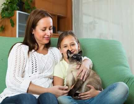 Foundation Grant Feeds Cats in Michigan Communities