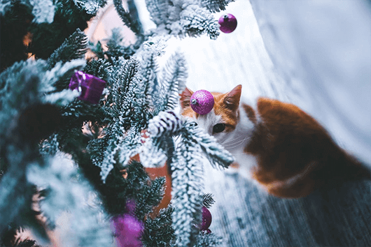 Kitty-Christmas-Tree