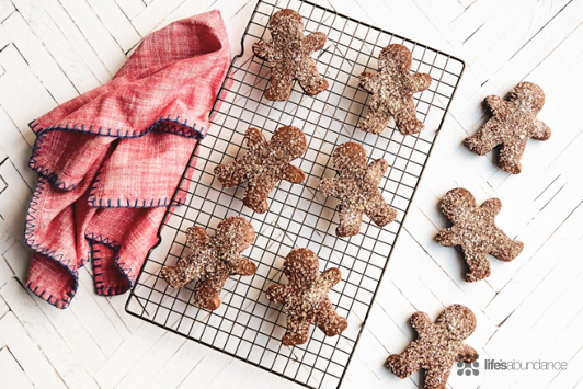 Chocolate Gingerbread Cookies Recipe with Plant Protein