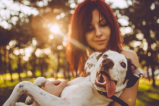 Health Benefits of Living With Dogs
