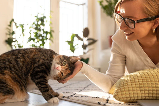 woman petting cat