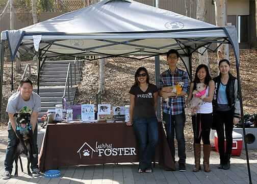 Furry Foster event 2