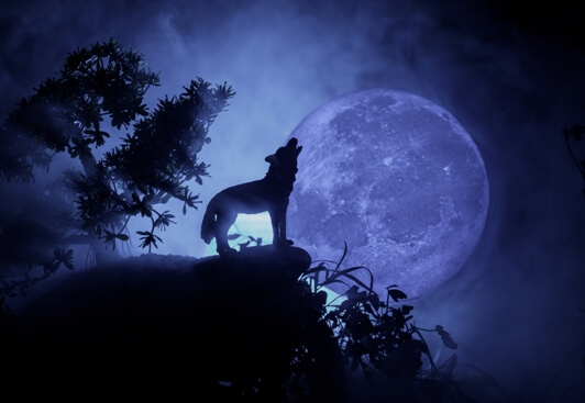 howling-at-the-moon