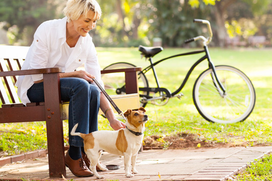 How Owning a Dog Can Help You Live Longer