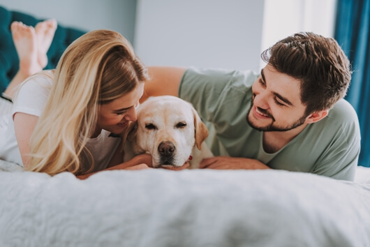 Loving-couple-and-lab