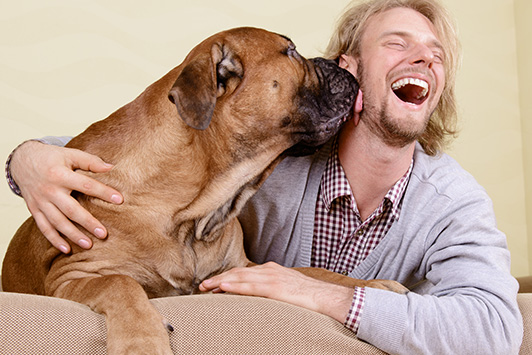 “Dog