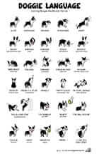 Doggie Language