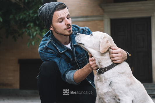 Can Dogs Learn and Understand Multiple Languages?