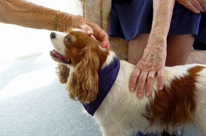 A Dog is the Best Medicine