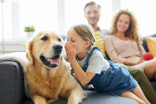 Dog Care Tips from Life's Abundance Employees