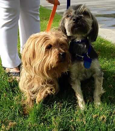 Nicky & Lucy