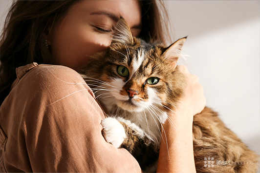 Thanksgiving: Giving Thanks for Dogs & Cats