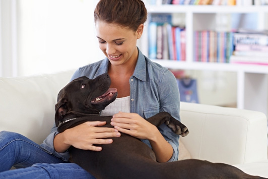 Help Your Dog Adjust to Work