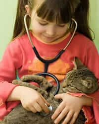 Dog Training Recall: Teaching Reliable Commands