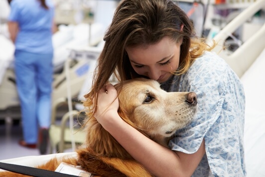 Therapy Dog Connects With Woman