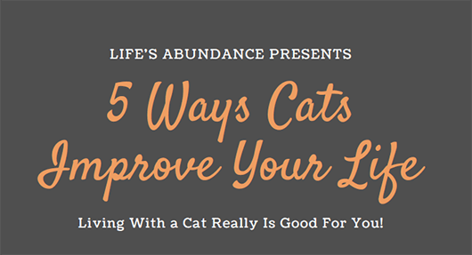 5 Ways Cats Improve Your Life: Infographic