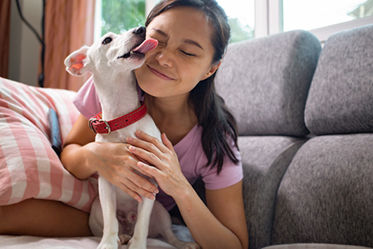 How to Maintain Your Dog's Dental Health at Home