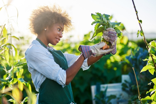 Living a More Sustainable Lifestyle