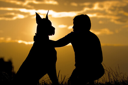 Coping with the Loss of a Dog
