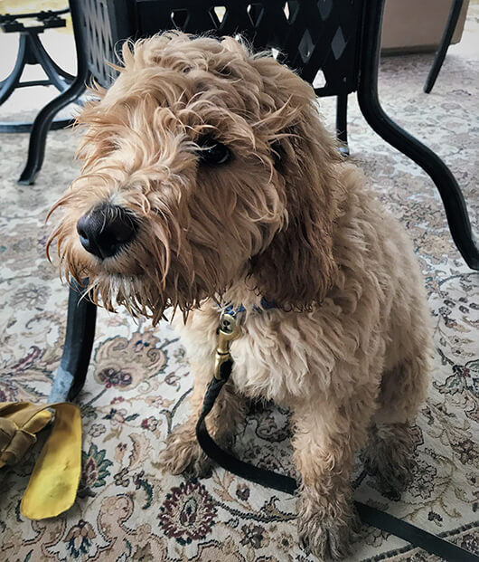 Muddy-Dakota