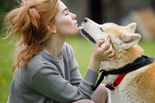 dog licking owner