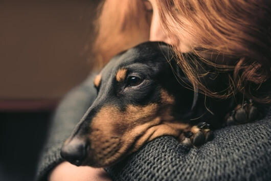 Life's Abundance Foundation Awards Funding to 10 Animal Rescues