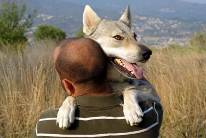 The Evolution of Dogs: How Canines Adapted to Live with Humans