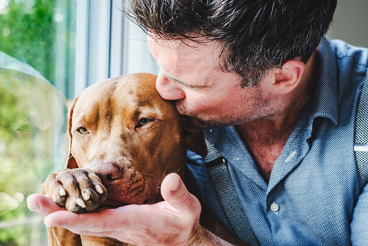 How to Keep Your Dog Smelling Fresh: Odor Control Tips
