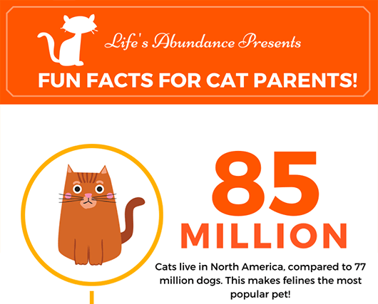 Fun Cat Statistics: An Infographic