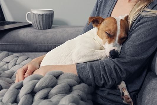 3 Ways Dogs Improve Your Mental Health