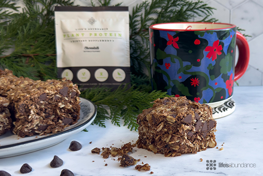 Chocolate Oatmeal Protein Bars: Chewy Holiday Cookie Recipe