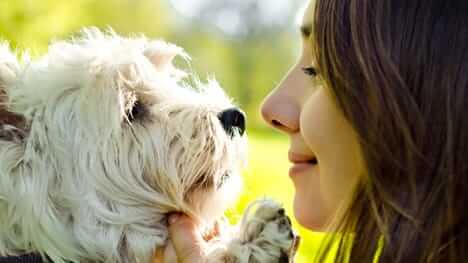 Girl holding dog