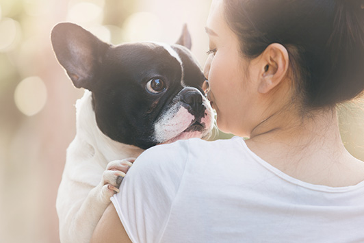 small dog on woman's shoulder