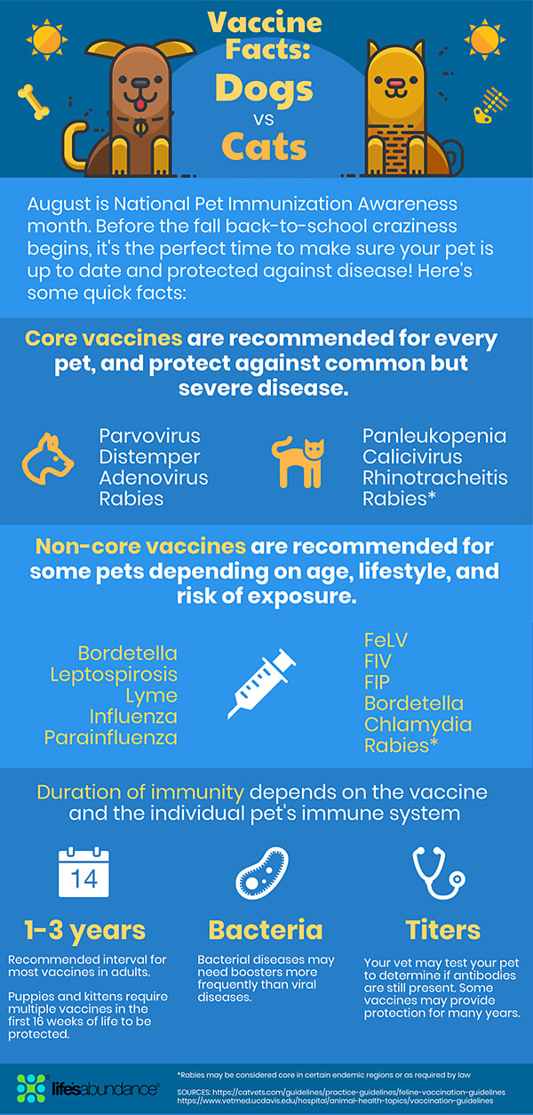 Pet Vaccine Facts for Dogs and Cats Infographic