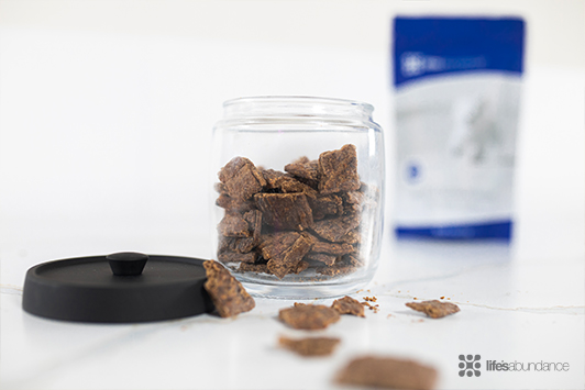 Dog Training Treats: Why Healthy Rewards Work Best