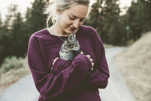 kitty-cuddle