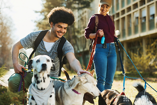 5 Spring Break Boarding Tips for Dogs and Cats