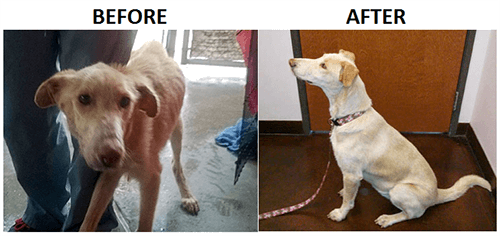 Faith Before & After