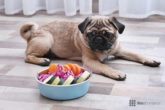 Healthy Dog Bowl Recipe: Game Day Treats for Dogs