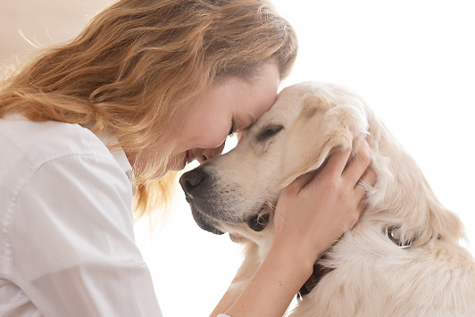 What Every Dog Owner Should Know About Dog Cancer