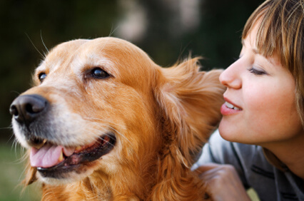 Spaying and Neutering Dogs: New Research on Health Risks in Golden Retrievers