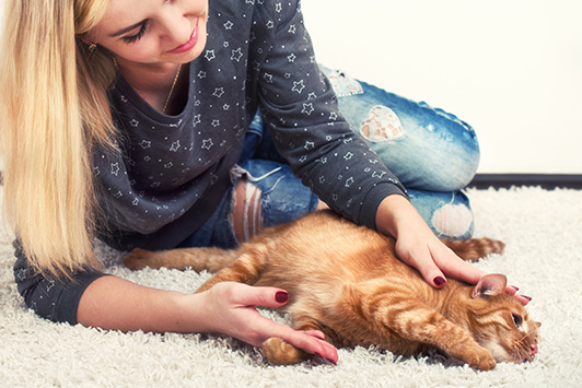 woman petting cat on carpet!