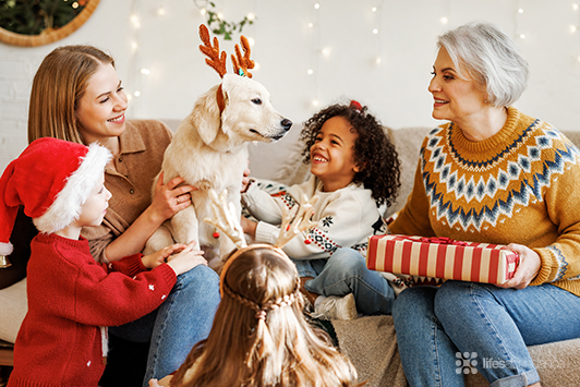 2024 Holiday Gift Ideas for Dogs and Cats