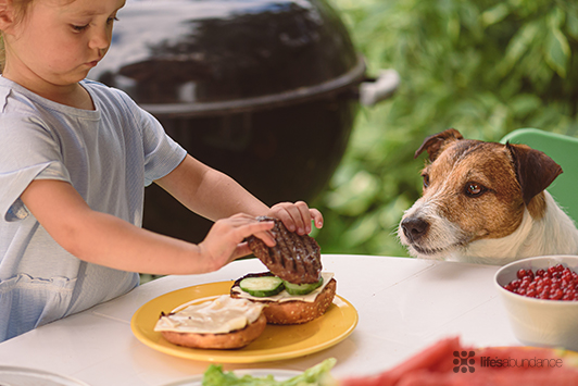 Labor Day Dog-Safe Foods: What Your Dog Can and Can't Eat