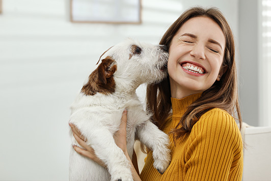 4 Ways to Celebrate National Dog Day